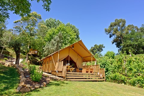 Glamping Lodge model